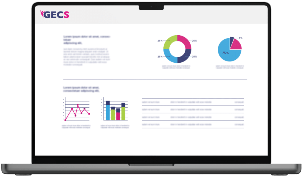Vue ordinateur GECS